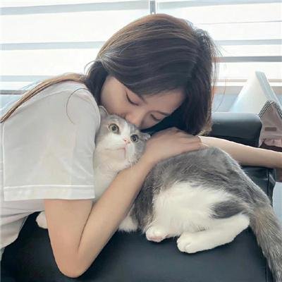 群芳灿烂